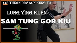 SOUTHERN DRAGON KUNG FU FORM - SAM TUNG GOR KIU