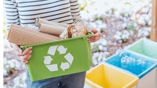Being Ecological (Philosopher Timothy Morton Interview)