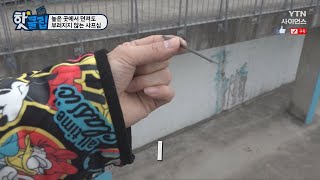 [핫클립] 높은 곳에서 던져도 부러지지 않는 샤프심 / YTN 사이언스