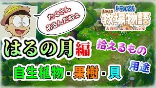 【ドラ牧・攻略】これを見れば完璧！見なきゃ損！どこでなにが取れるか一発でわかるよ☆【はるの月・素材】【ドラえもんのび太の牧場物語大自然の王国とみんなの家】