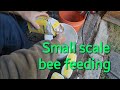 5 gallon Small scale bee feeding September 9th - Beekeeping