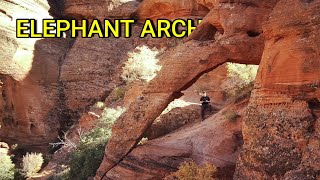 Elephant Arch Trail, Washington, UT