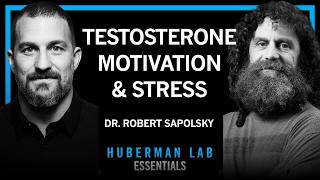 Essentials: Science of Stress, Testosterone, Aggression & Motivation | Dr. Robert Sapolsky
