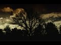 Haunted Forest ◣_◢ Scary Sounds Of Ghosts In The Darkness 🎧 2 Hours