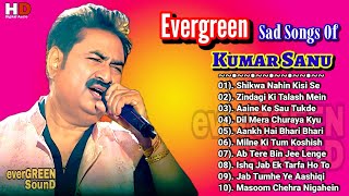 Evergreen Sad Songs Of Kumar Sanu, Hit Of Alka Yagnik, Best of kumar sanu,90s hit playlist