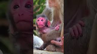 Engaging baby