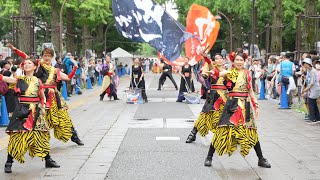 東京ギバチ 📍よさこい祭りin光が丘公園 (パレード①) 2024-07-14T10:48