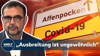 AFFENPOCKEN IN DEUTSCHLAND: Holetschek – \