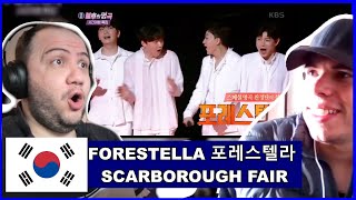 Scarborough Fair - Forestella | TEACHER PAUL REACTS