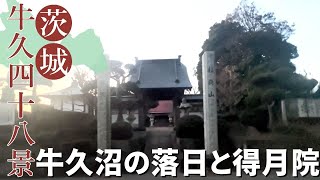 【牛久】牛久沼の落日と得月院【牛久四十八景】