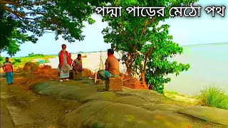 পদ্মা নদীর পাড় ঘেসে বয়ে গেছে মেঠোপথ | নদী পাড়ের সবুজ গ্রাম ও রাস্তার দৃশ্য | গ্রাম্য জীবন