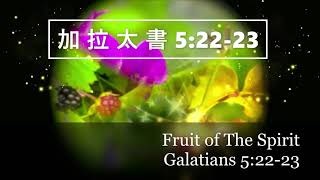 加 拉 太 書 5:22-23 -  Galatians 5:22-23  Chinese and English