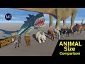 Animal SIZE Comparison 3D (smallest to LARGEST Animals)