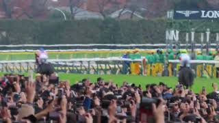 2023年11月26日 東京12R ジャパンカップ 本馬場入場 イクイノックス