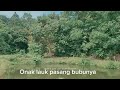 TAGONANG Lagu Dayak Krio Terbaru