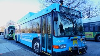 WMATA Metrobus \u0026 Ride-On: Bus Observations (January 10, 2015) [#W003]