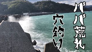 【穴釣り】波被るテトラに潜り込んで根魚釣り