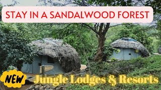 Gopinatham Mystery Trails Jungle camp | Jungle Lodges and Resorts | Jungle Camping | Diya Dey Vlogs