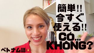 簡単‼︎今すぐ使える‼︎〜ですか?...có...Không ?ベトナム語