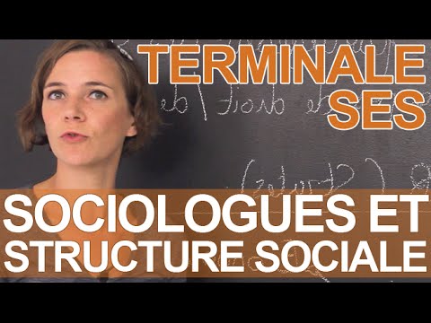 Comment Les Sociologues Pensent La Structure Sociale ? - SES ...