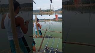 Pergerakan Halus dari ikan Tabinggalan danau PLTA Koto Panjang #shorts #fishing