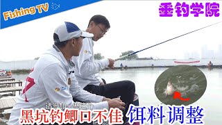 【黑坑抢鱼用饵】夏季黑坑钓鲫鱼口不佳？调整饵料迅速上岸 |垂钓学院Fishing Academy|快乐垂钓频道