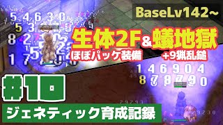 【ラグナロクオンライン：ジェネティック育成記録#10】生体2F(ほぼパッケ装備)\u0026蟻地獄(+9猟乱鎚)【BaseLv142~】