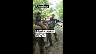 Найкращі друзі військових #shorts #зсу #ukrainer #україна #тварини #війна