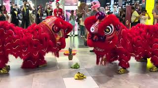 2025 Chinese New Year Lion Dance at Sunway Carnival