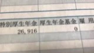 給与明細 准看護師20歳男性の精神科病院勤務の1年目冬の賞与