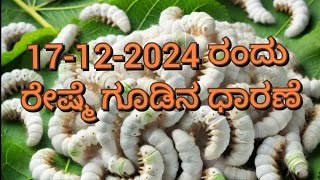 Mulberry Cocoon Price As on 17-12-2024 at Karnataka Govt. Cocoon Market.