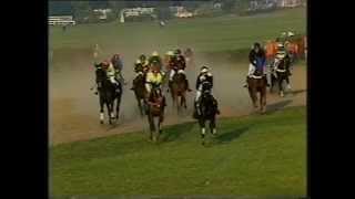 1990 Velká Pardubická Steeplechase