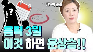 음력 3월에 하면 좋은 운기 상승비법🤑 봄의 기운만큼 좋은 기운은 없다│집안 사무실 회사