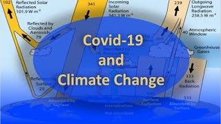 The Effect of the Covid-19 Pandemic on Climate Change: A Silver Lining?