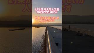 2月9日南大阪人工島朝まづめ釣り場状況