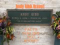 GRAVE OF THE BEE GEES LITTLE BROTHER ANDY GIBB.Such a SAD ending to his life #singer #entertainment