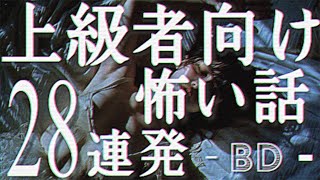 上級者向け怖い話28連発（人怖)「新婚夫婦 落とし穴事件」「変な声が聞こえたら、帰る」「カラオケバーのヤバい客」「モデルコーポ」「ガールスカウト〇〇事件」「ヒマな小学生が何人かでやってるんだろう」bd