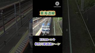 【長大編成】EF210-344号機+コキ22B(列番不明)が根府川駅を通過！#貨物 #貨物列車 #ef210旧塗装 #ef210 #ef210桃太郎 #ef210300番台 #桃太郎