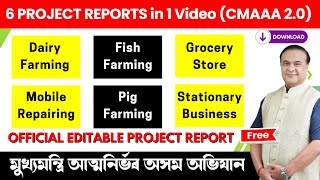 CMAAA 2.0 Project Report: Dairy, Fish, Grocery, Mobile Repairing, Piggery \u0026 School Stationery 2025