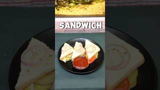 Make simple veg sandwich #sandwich #hindi #veg #food #viral #short #foodvlog