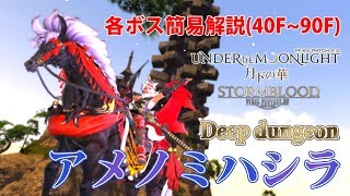 【FF14 月下の華】各ボス簡易解説(40F～90F)：アメノミハシラ【Deep Dungeon】