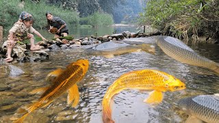 Meet giant fish and thousands of fish in a puddle. caught many giant fish. Fish catching skills