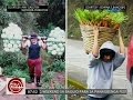 Download 24 Oras: "Carrot Man" Jeyrick Sigmaton, hindi pa rin daw makapaniwala sa kanyang kasikatan In Mp4 3Gp Full HD Video