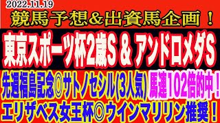 【　東京スポーツ杯2歳S \u0026 アンドロメダS 2022 予想 】土曜日の競馬予想！先週、福島記念◎サトノセシルから馬連102倍的中！エリザベス女王杯◎ウインマリリン推奨！今週の本命馬は？