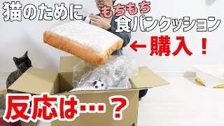 猫のためにニトリの食パンクッションを買った結果…