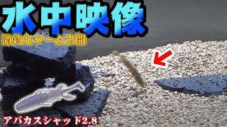 この動きはヤバい！？秘密のワームを公開します！【水中映像】