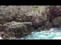 イルカスイミング＆南島上陸ツアー in 小笠原諸島