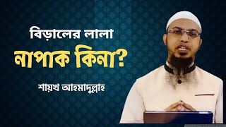 বিড়ালের লালা কি নাপাক? shaikh ahmadullah prosno uttor new 2022।। শায়খ আহমাদুল্লাহ