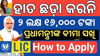 ପ୍ରଧାନମନ୍ତ୍ରୀ ବୀମା ସଖି ଯୋଜନା କରିବା ଉଚିତ୍✅ ନା ନାହିଁ ❌ Bima Sakhi yojana online Apply | Lic Bima sakhi