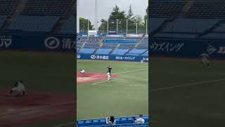 日本大学　柳澤真平　ライト前ヒットで繋ぐ　日大三高出身　R4.4.26